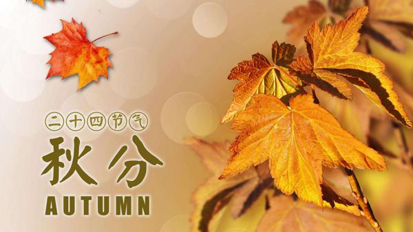 “晚清”  （唐）杜甫 回到斜始