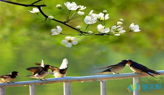 描述武汉春季1的句子  1