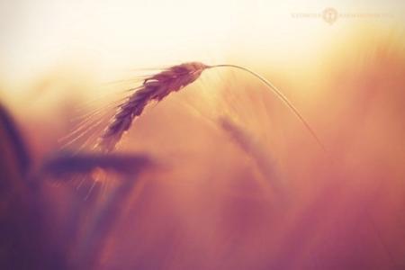 许多失望是无法接受的