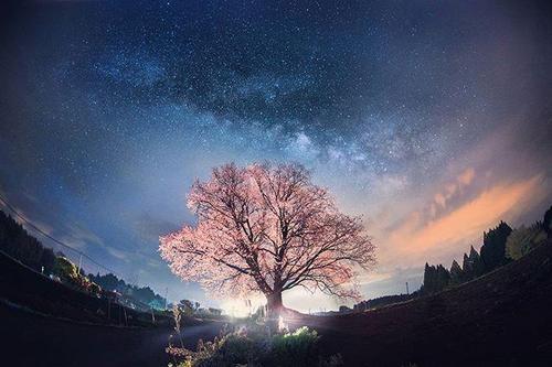 友谊中最难过的时刻是朋友的失望