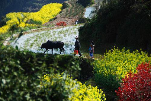 非常有表​​现力