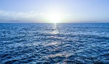 表达开心的优美句子