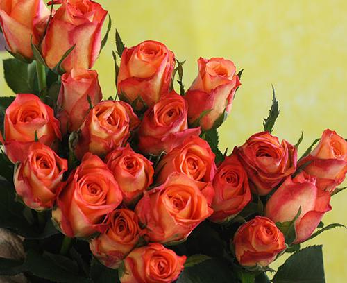 有些人可以抓住幸福