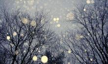 过年最伤感的句子 过年伤感的心情说说