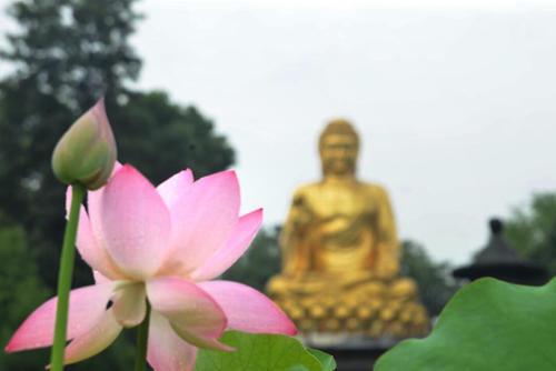 如果每天看到众生的是非