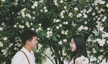 搭伙过日子的婚姻说说