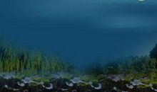 关于月下荷塘边的思念句子