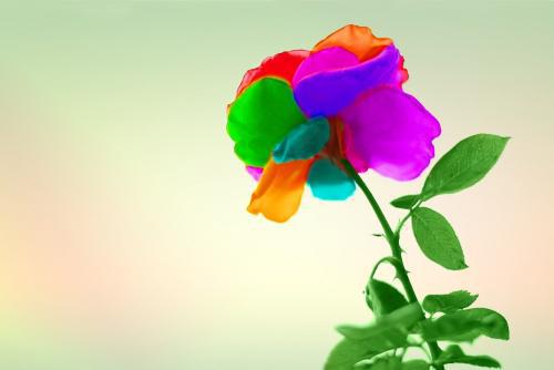 幸福是您自己创造的