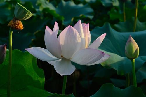 请享受小编组织的关于幸福的一天的幸福句子