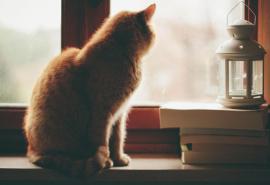 编辑编辑了一些有关幸福生活的句子