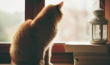 关于开心的生活的句子