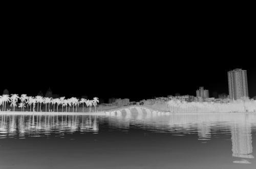 送一首歌给国王