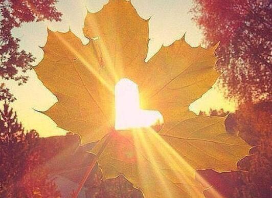 以下是编辑[晚安的问候]中一个漂亮的句子