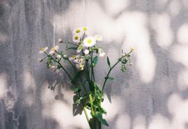 生活是简单的幸福