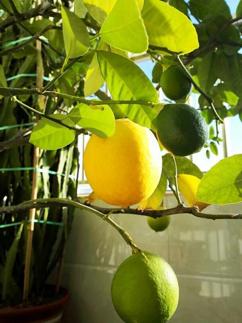 编辑器编辑了一些完整的有关快乐和含蓄句子的个性化签名