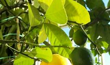 开心有内涵的句子个性签名大全