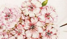 一个人对一个失望的句子