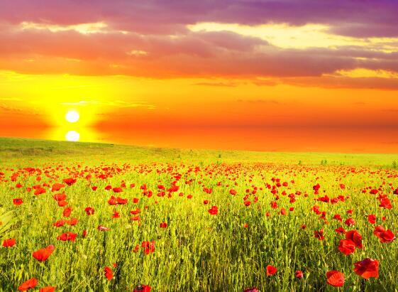 短暂的生命可以永远持续下去