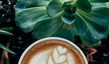 认真工作开心生活的句子