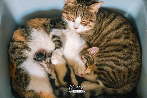 当人们还活着时