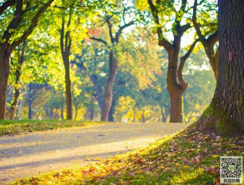 请享受小编组织的关于认真工作和幸福生活的句子