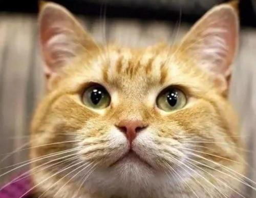 没有理由不高兴