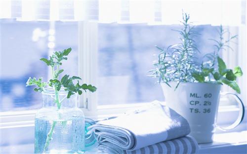 看到年迈的父母真的想用魔术来阻止他们到这个年龄并停止衰老