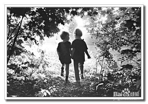 兄弟的情绪最强烈