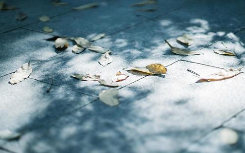 编辑编辑了一些有关家庭之爱的句子