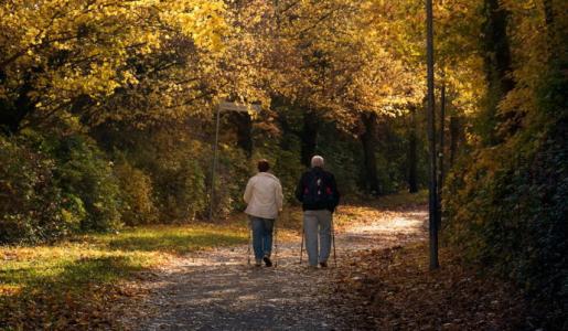 编辑编辑了一些有关最热情的陪伴的句子