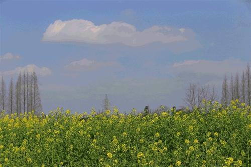 这些句子将永远存在