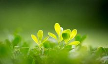 形容亲情冷漠的句子