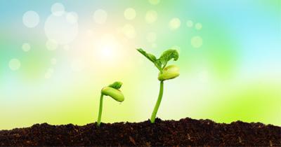 编辑编写了一些有关家庭之爱的热情而感人的句子