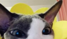 眼睛需要休息的说说