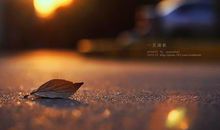 表达亲情疏远的句子