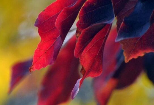 我隐瞒了所有人