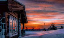 逗主人开心的句子