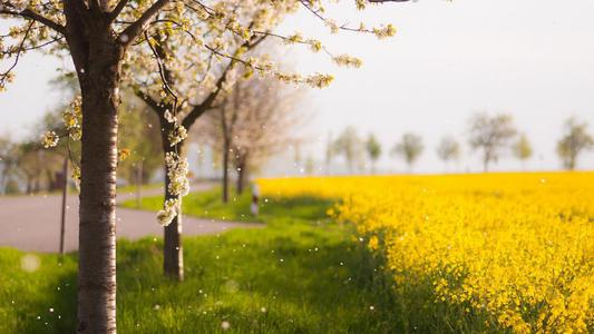 使人高兴的句子是什么