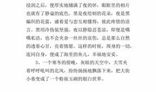 描写冬天的优美段落