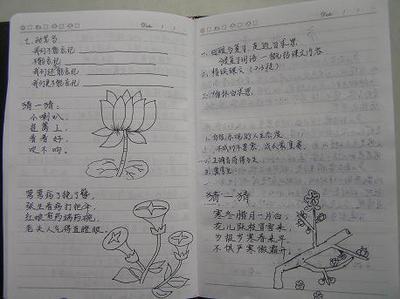 城南旧事好词好句好段摘抄大全 0