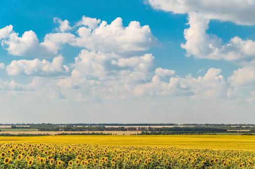请代表编辑欣赏相对幸福的句子