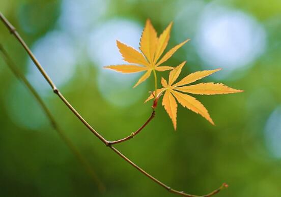 真正关心您的人