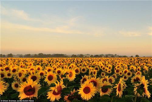 让老师开心实际上很简单