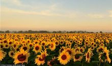 给老师开心的句子