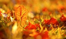 经典有气质内涵的句子