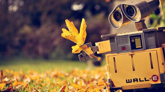 请欣赏小编编写的有关不倦的结的句子