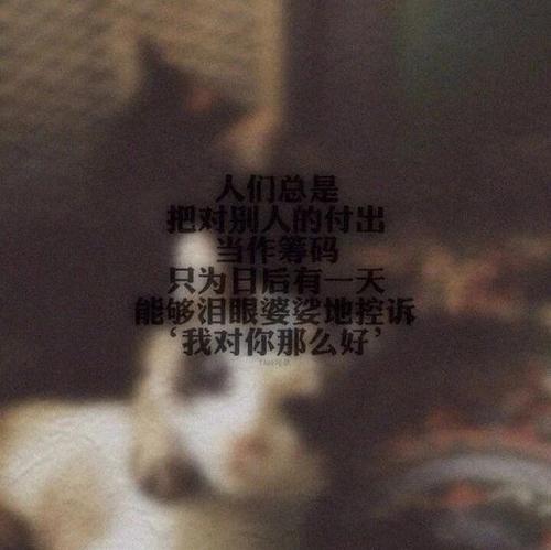 有一千杯葡萄酒