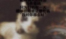 酒醉后的心碎句子