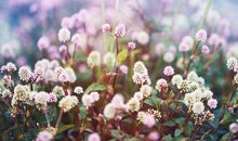 描写旅行开心的句子