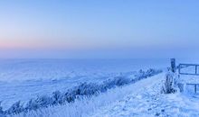 心烦的解人句子